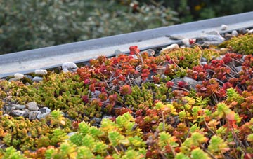 the cost of Chafford Hundred green roof installation